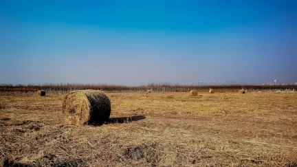 Kasino Slot Shack Mobilní aplikace